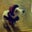 Lisa Hutton's profile image