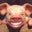 Scott Miller's profile image