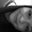 Kristine Rankin's profile image