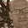 Aaron Dunn's profile image
