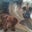 Tammy Weiss Johnson's profile image