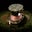 Cidhinnia Torres Campos's profile image