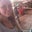 Kristen Newcomer's profile image
