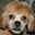Gary B's profile image
