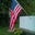 Gretchen Miller-Morse's profile image