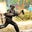 Eric Ho's profile image