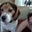 PJ Walter's profile image
