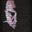 Dave Beatty's profile image