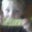 ᴡ Slaw's profile image