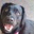 Jason Roberts's profile image
