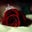 Afaf Al Jahwari's profile image