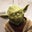 Chris Reighley's profile image