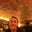 Eric Wiessner's profile image