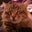 Amanda Boyle's profile image