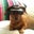 Jacqueline P's profile image