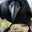 Susan Descutner's profile image