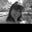 Tanya Fuson's profile image