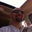 Chris Knepler's profile image