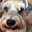Tami Hunts's profile image