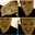 Rob Legg's profile image