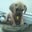 Jacky Deng's profile image
