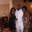Joanne Johnson's profile image
