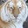 Kody Atkinson's profile image