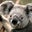 Ann Murley's profile image