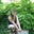 Karen A.'s profile image