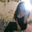 Ana Carolina's profile image