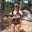 Brandy Mitchell's profile image