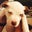 Risse S's profile image