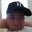 Chris Kerber's profile image