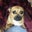 Mark H's profile image