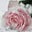 Amy Bilby's profile image