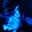 Ed Calderone's profile image