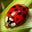Al Lawrence's profile image