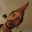 Christopher Bering's profile image