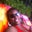 Ife Madyun's profile image