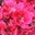 Connie Sisco's profile image