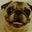 Stephanie Anspaugh's profile image