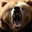 Ted Schneider's profile image