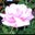 Barbara B's profile image