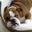 Rick Brainard's profile image