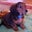 Jesse Van Norden's profile image