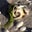 Sherry Burlingame's profile image