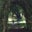 David Lee Russell's profile image