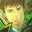 Shachar Oren's profile image