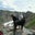 Jodi B's profile image