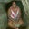 Kathleen Rivera's profile image